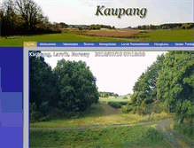 Tablet Screenshot of kaupang.org